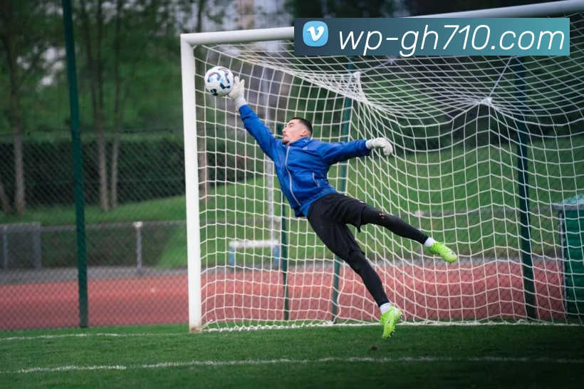 公海710官网发展历程